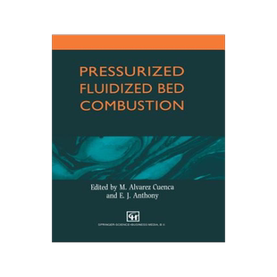 预订 Pressurized Fluidized Bed Combustion