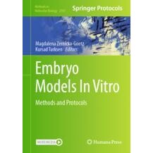 预订 Embryo Models In Vitro Methods and Protocols 体外胚胎模型：方法与协议 9781071636855