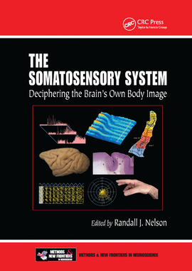 【预订】The Somatosensory System: Deciphering the Brain’s Own Body Image