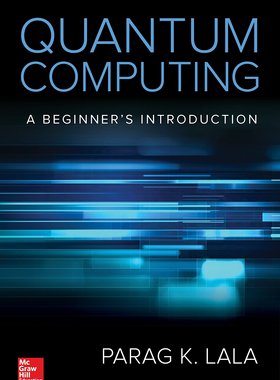 预订 英文原版 量子计算 Quantum Computing