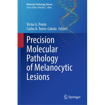 预订 Precision Molecular Pathology of Melanocytic Lesions 黑素细胞病变的精准分子病理学 9783032182210