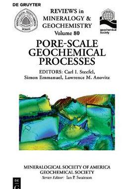 【预订】Pore Scale Geochemical Processes 9780939950966