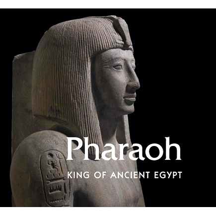 King of Ancient Egypt