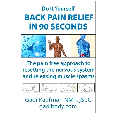 预订 Do It Yourself Back Pain Relief In 90 Seconds: The Pain Free Approach to Resetting the Nervous System and Releasing