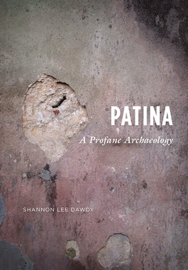 【预订】Patina 9780226351056