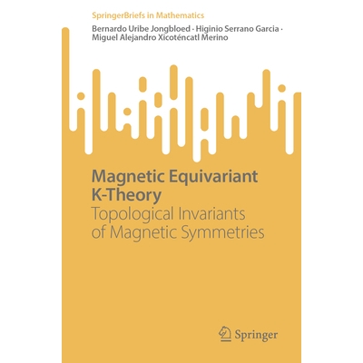 Topological Invariants of Magnetic Symme