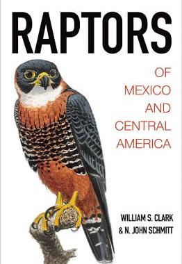 【预订】Raptors of Mexico and Central America