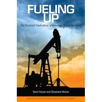 预订 Fueling Up: The Economic Implications of America’s Oil and Gas Boom 加油：美国石油和天然气生产繁荣的经济影响: 9780