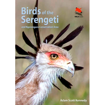 And Ngorongoro Conservation Area