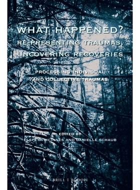 预订 What Happened? Re-presenting Traumas, Uncovering Recoveries: Processing Individual and Collective Trauma 发生了什么