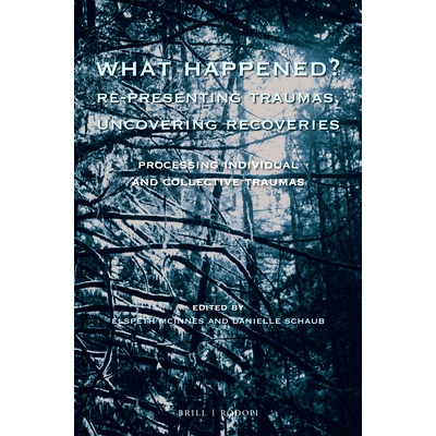 预订 What Happened? Re-presenting Traumas, Uncovering Recoveries: Processing Individual and Collective Trauma 发生了什么