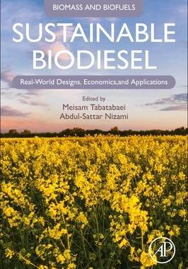 [预订]Sustainable Biodiesel 9780128203613