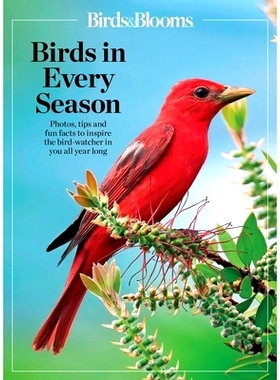 预订 Birds & Blooms Birds in Every Season: Cherish the Feathered Flyers in Your Yard All Year Long
