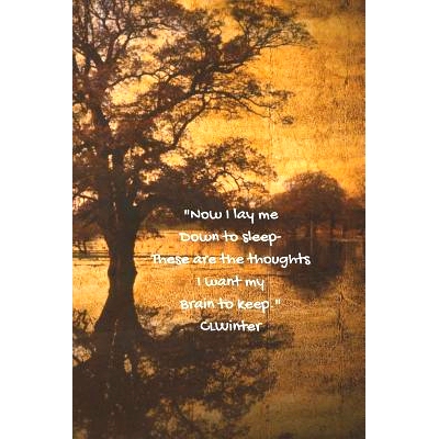 预订 Now I Lay Me Down to Sleep, These Are the Thoughts I Want My Brain to Keep.: 9781793136145