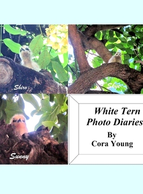 预订 White Tern Photo Diaries: 9781733062350