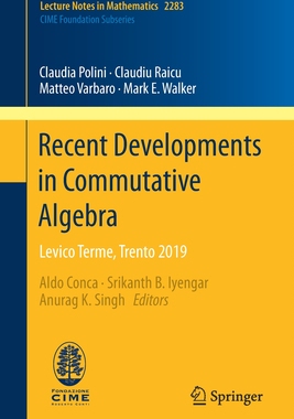 预订 Recent Developments in Commutative Algebra