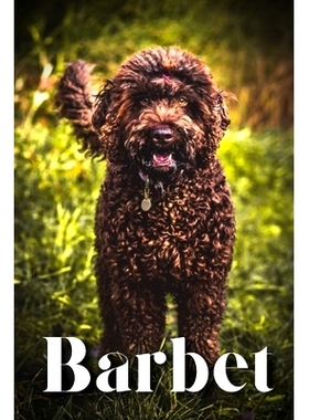预订 Barbet: How to train your dog and raise from puppy correctly: 9798864925737