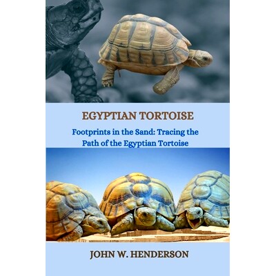 预订 Egyptian Tortoise: Footprints in the Sand: Tracing the Path of the Egyptian Tortoise: 9798879874679