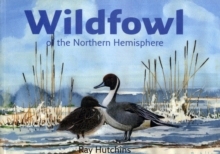 【预订】Wildfowl of the Northern Hemisphere 9780954307011