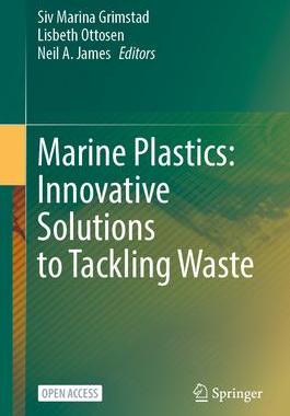 [预订]Marine Plastics: Innovative Solutions to Tackling Waste 9783031310607