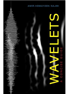 预订 Wavelets: A Concise Guide 小波：简明指南: 9781421404967