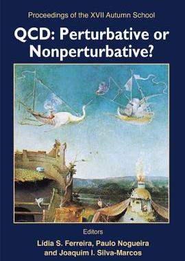 【预订】QCD: Perturbative or Nonperturbative?
