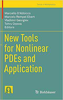 预订 New Tools for Nonlinear PDEs and Application