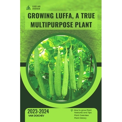 预订 Cauliflower in Your Garden: Guide and overview: 9798872816768