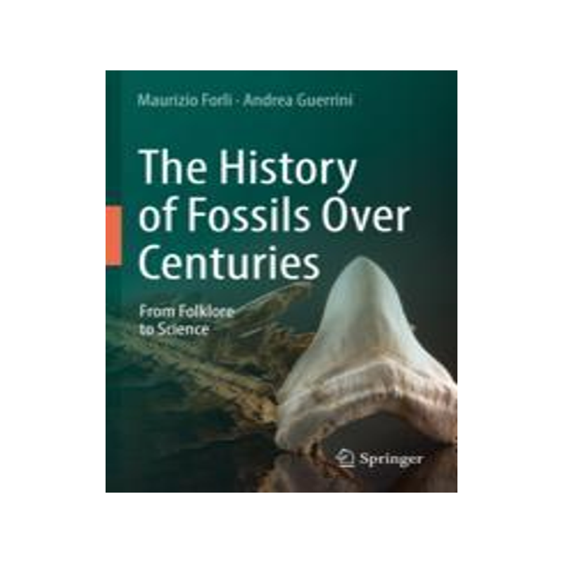[预订]The History of Fossils Over Centuries 9783031046896
