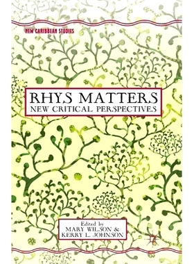 预订 Rhys Matters: New Critical Perspectives: 9781349460274