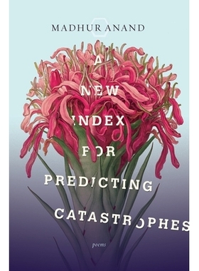 预订 A New Index for Predicting Catastrophes: 9780771006982