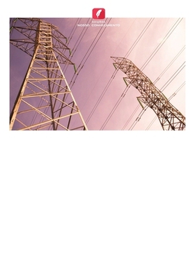 预订 Modelo arquitetónico orientado a serviços para estudo da estabilidade do sistema elétrico: 9786209460937