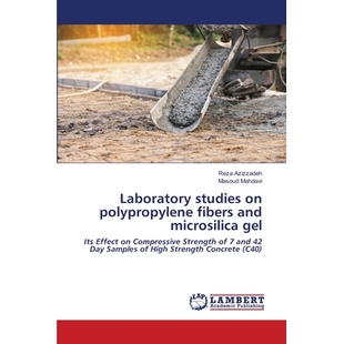 预订 Laboratory studies on polypropylene fibers and microsilica gel 聚丙烯纤维和微硅胶的实验室研究: 9786202808873