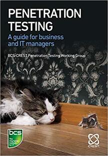 【预售】Penetration Testing: A Guide for Business and IT Managers