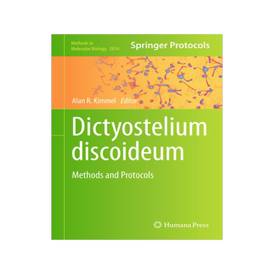 预订 Dictyostelium discoideum