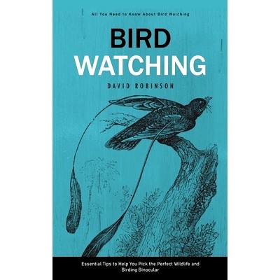 All You Need to Know About Bird Watching