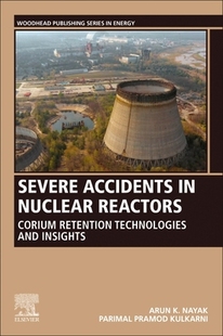 9780128223048 Severe Accidents Reactors 預(yù)訂 Nuclear