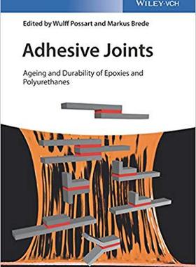 【预售】Adhesive Joints Ageing And Durability Of Epoxies And Polyurethanes