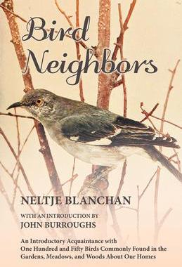 [预订]Bird Neighbors - An Introductory Acquaintance with One Hundred and Fifty Birds Commonly Found in the 9781473335363