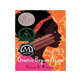 英文原版 吉妮西丝的清单 2020纽伯瑞银奖小说 Genesis Begins Again