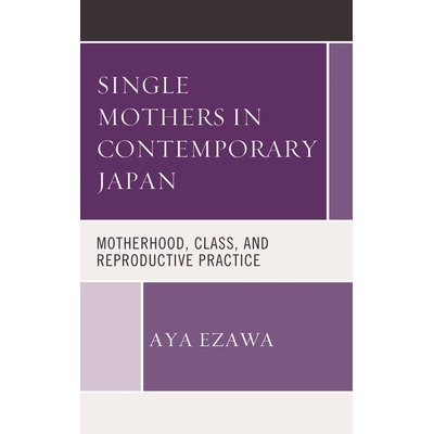 预订 Single Mothers in Contemporary Japan: Motherhood, Class, and Reproductive Practice 当代日本的单身母亲：孕产，*和生