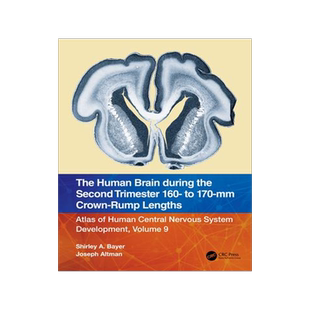 [预订]The Human Brain during the Second Trimester 160– to 170–mm Crown-Rump Lengths 9781032219424