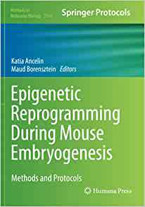 【预订】Epigenetic Reprogramming During Mouse Embryogenesis 9781071609606