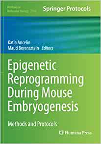 Reprogramming Epigenetic 預訂 9781071609606 Mouse Embryogenesis During
