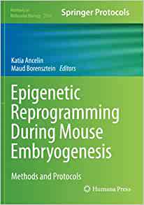 预订 Embryogenesis Mouse 9781071609606 Reprogramming Epigenetic During