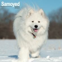 【预订】Samoyed 2023 Wall Calendar 9781839417498