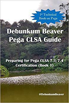 【预售】Debunkum Beaver Pega CLSA Guide - Preparing for Pega CLSA 7.3/7.4 Certification (Book 1)