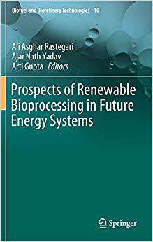 【预售】Prospects of Renewable Bioprocessing in Future Energy Systems