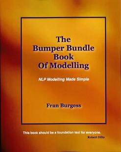Made 9780992836108 Bumper Modelling Book The Bundle Simple NLP 预订