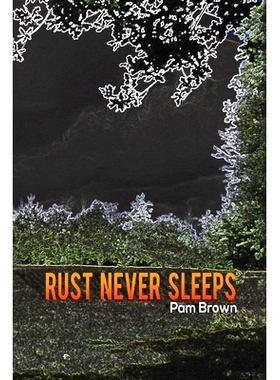 预订 Rust Never Sleeps: 9781528909044